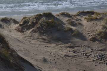 Fototapeta premium the sand dunes of ynyslas beach with the sky clear and blue