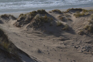 the sand dunes of ynyslas beach with the sky clear and blue