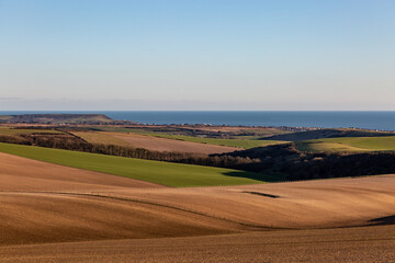 Fototapeta na wymiar Fields and Hills of the South Downs with the Sea in the Distance