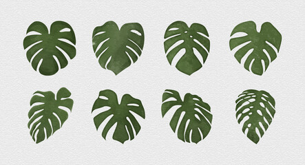 Monstera Deliciosa plant leaf watercolor style isolated on background