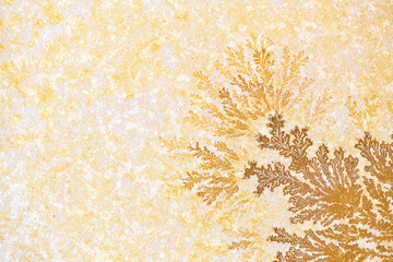 Detalle y vista de cerca de una dendrita de pirolusita (Dióxido de Manganeso) en una losa de piedra