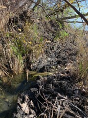 Erosion from flood waters. Spring stream. Ground washed away by a stream.
