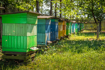 Fototapeta na wymiar Cool apiary in a rural settlement. Ecological honey production.