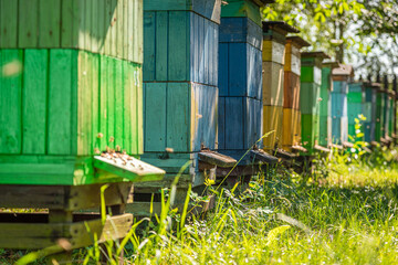 Handcraft beehives in a small village. Natural and ecological beekeeping.