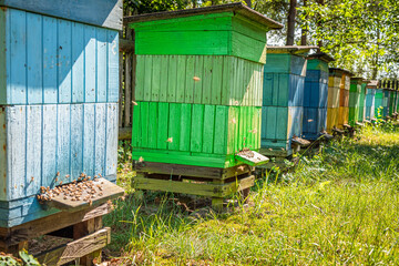 Fototapeta na wymiar Vintage apiary in a small village. Ecological honey production.