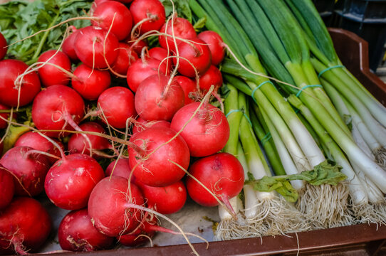 Radishes and Spring Onions at a market