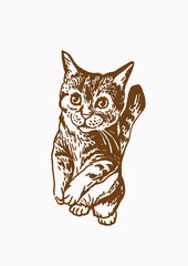 Graphical cat ,sepia vector illustration of pet	