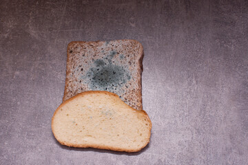 moldy bread, black and white slices, on a gray background. green mold.