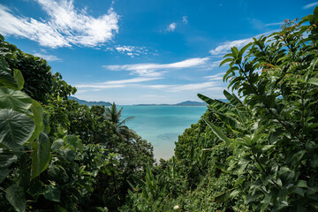 Fototapeta na wymiar Tropical island with green trees on the foreground and beach, Phuket, Thailand.