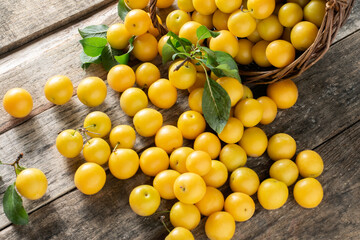 Seasonal yellow plum on wooden background