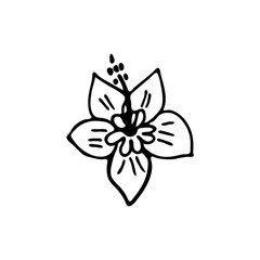 Doodle image of a tropical flower. Hand-drawn image for print, sticker, web, various designs. Vector element for the themes of travel, vacation, tourism.
