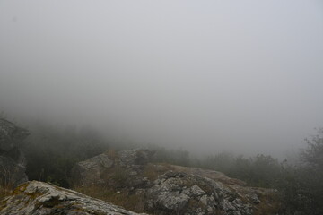 fog in the mountains
