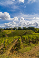 Fototapeta na wymiar Tuscany's most famous vineyards near town Montalcino in Italy