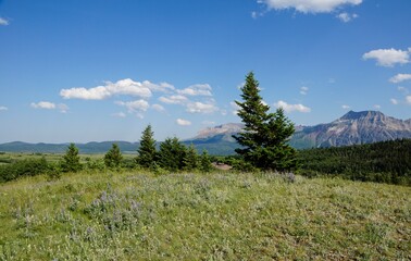 Waterton Lakes National Park in Alberta Canada