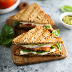Grilled sandwiches with chicken and mozzarella
