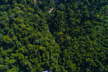 Obraz premium Green mountain tropical rain forest in Thailand