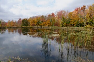 Fototapeta na wymiar Autumn in the Catskill Mountains - Snake Pond near Andes NY