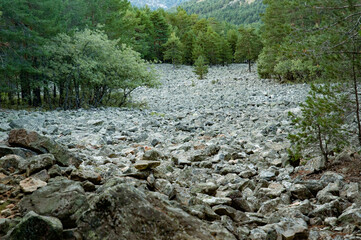 Stone river in the forest of Orihuela del Tremedal, Teruel Spain