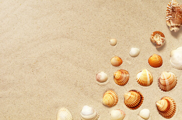 Fototapeta na wymiar Seashells pattern on the sandy beach. Summer background.