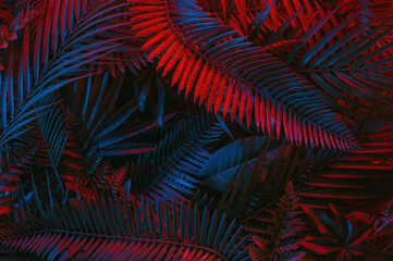 Tropical green palm leaves in vibrant gradient neon colors