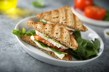 Grilled sandwiches with chicken and mozzarella