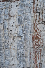 Obraz premium stone texture