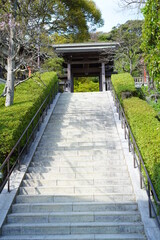 鎌倉の桜と風景