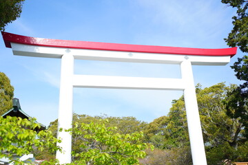 Fototapeta premium 鎌倉の桜と風景