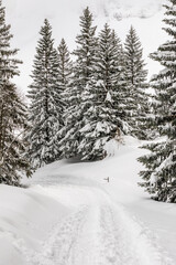 Snowy landscape of the Swiss Alps at Säntis in Switzerland