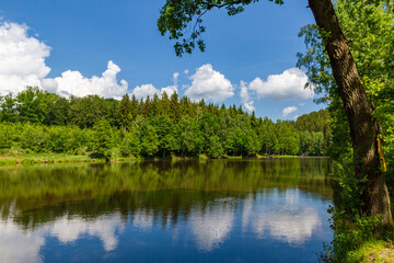 Fototapeta na wymiar Waldsee Elbingstalteich am Selketal Stieg im Harz