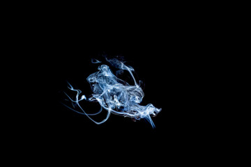 Movement of white smoke isolated on black background.