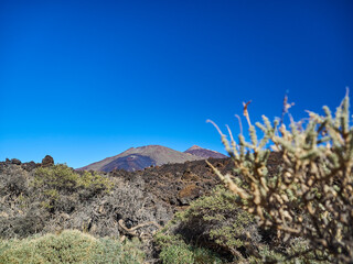 Fototapeta na wymiar Volcanic landscape of el Teide on tenerife island, Spain.