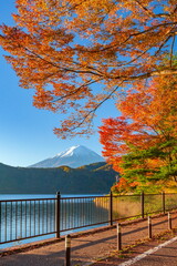 富士山と紅葉　山梨県富士河口湖町河口湖にて