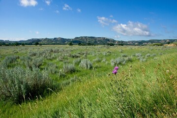 Theodore Roosevelt National Park in North Dakota USA