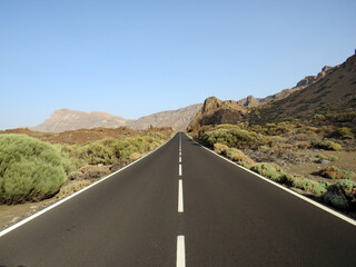 Asphalt road in high mountain landscape. Alpine landscape with bushes and peaks in sunny day. Geology and Nature pattern.