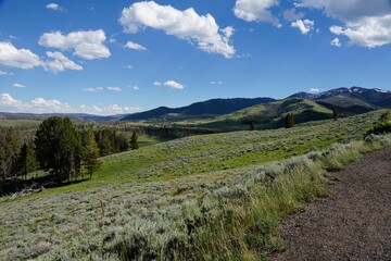 Fototapeta na wymiar Yellowstone National Park in Wyoming USA