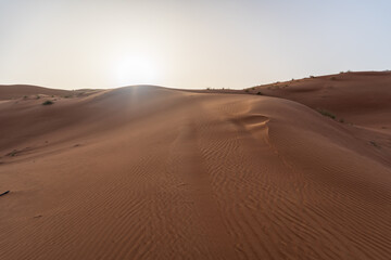 Fototapeta na wymiar Desert landscape during the sunset