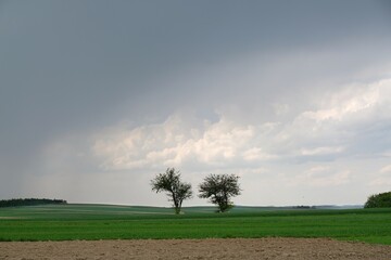 Dramatic scenery of heavy dark clouds over field with two lonely trees.