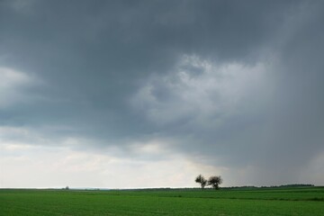 Fototapeta na wymiar Dramatic scenery of heavy dark clouds over field with two lonely trees.