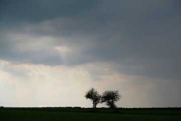 Dramatic scenery of heavy dark clouds over field with two lonely trees.