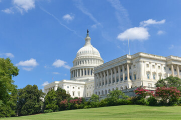 Obraz premium U.S. Capitol Building - Washington D.C Unied States of America