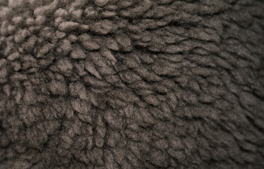 Sheared bearskin fur.  background is made of brown matte wool