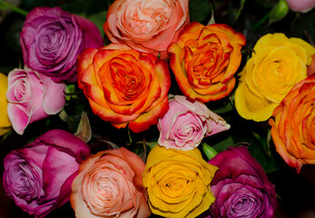  bouquet of colorful roses. background of flowers.