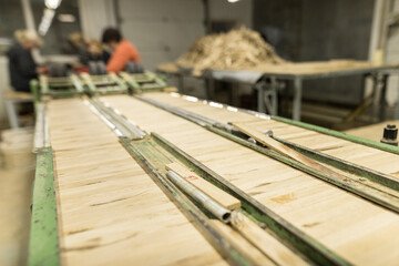 The close up of assembly workflow folded decorative wooden blocks in green cutting machine