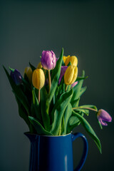 Yellow and Purple Spring Tulips in a Milk Jug With Dark Background