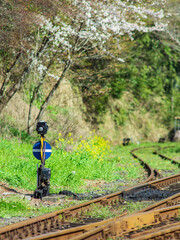 春の鉄道風景　いすみ鉄道大多喜駅　3月