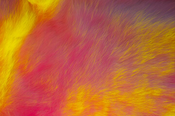 Luxury fur texture background. Fiery bright yellow fox fur with orange and pink hue. Perfect for advertising fur products, coats, eco-fur, erotic things or a sex shop