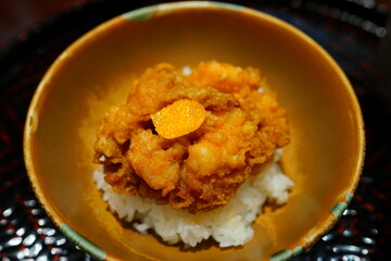 Tendon (Tempura Rice Bowl), Japanese food, closeup - 天丼 日本食