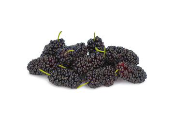 Mulberry fruits on isolated white background