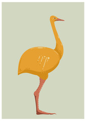 cute ostrich illustration